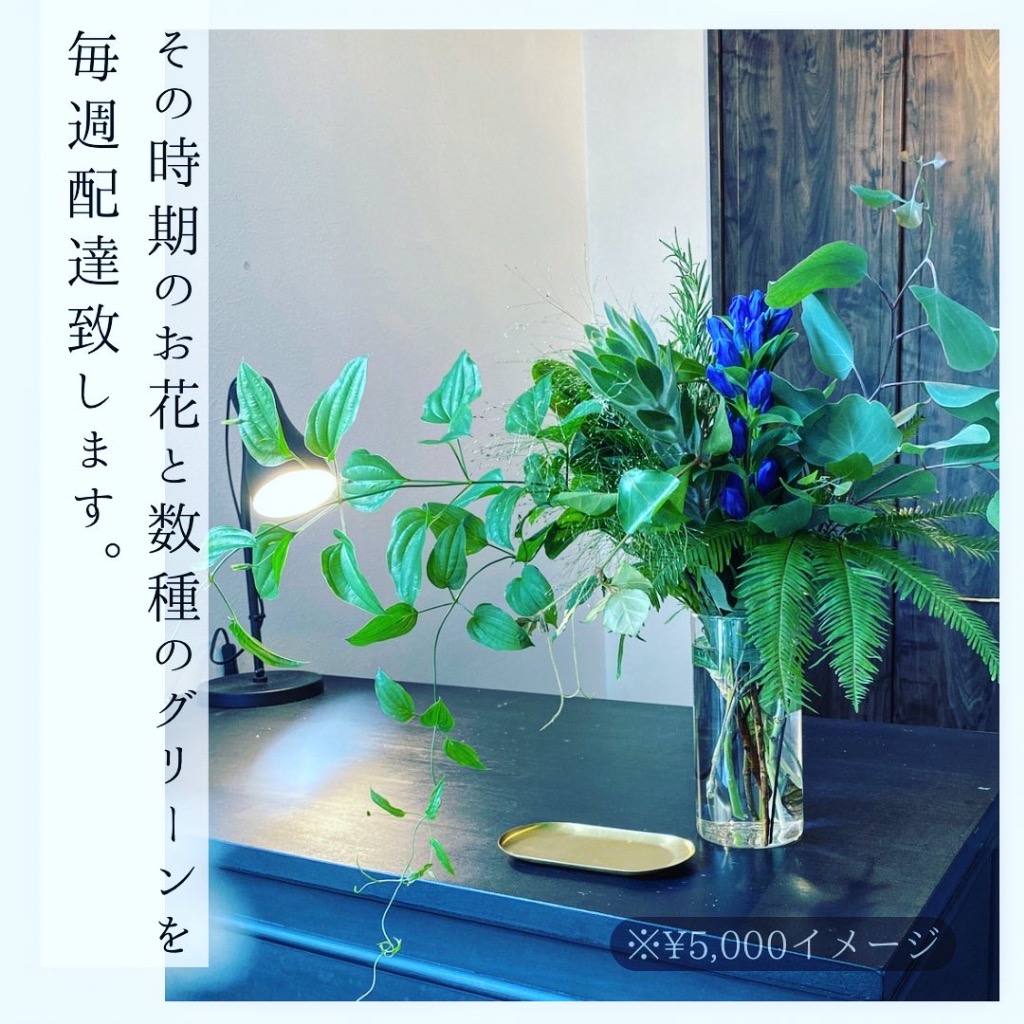 定期装花のお知らせ（¥5,500〜）